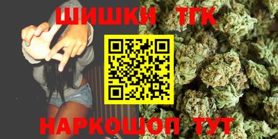 дмт Славгород