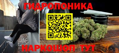 молекула духа Сланцы