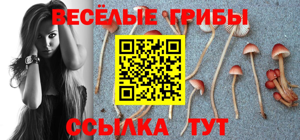 МЕТАДОН Моздок