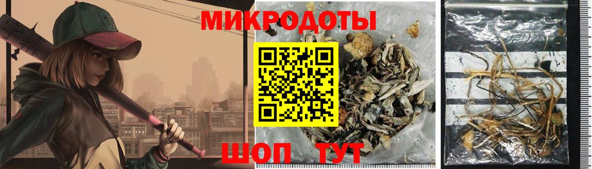 Моздок  Галлюциногенные грибы Psilocybe  Вход с VPN  Псилоцибиновые грибы ЛСД 